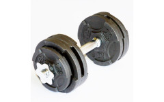 Гантель разборная MironFit чугунная 14.5 кг Гантель разборная MironFit чугунная 14.5 кг